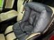 Автокрісло для собак Classic Pro (Графіт) CL-40-GR фото 1